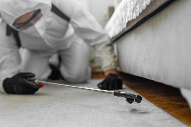 Professional Bed Bug Control technician working in Catasauqua, PA