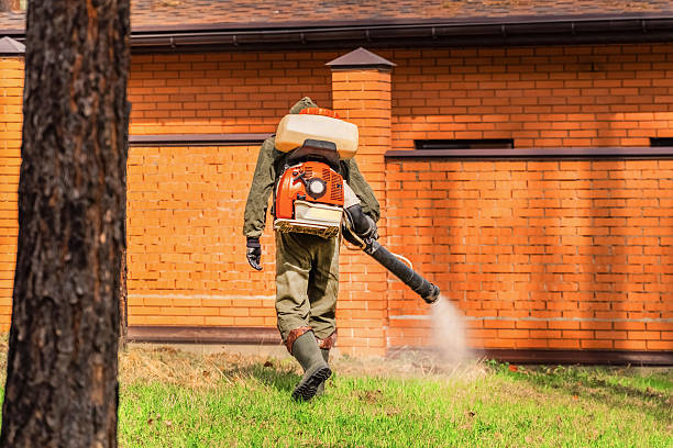 Trusted Emergency Pest Control service in Catasauqua, PA - Nex Pest Control